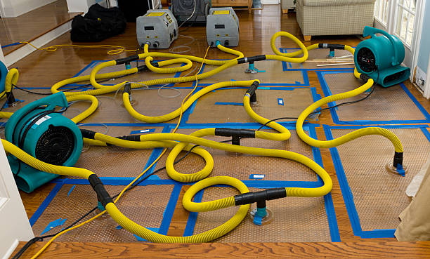 Professional Sewage Cleanup technician working in Chappell Hill, TX